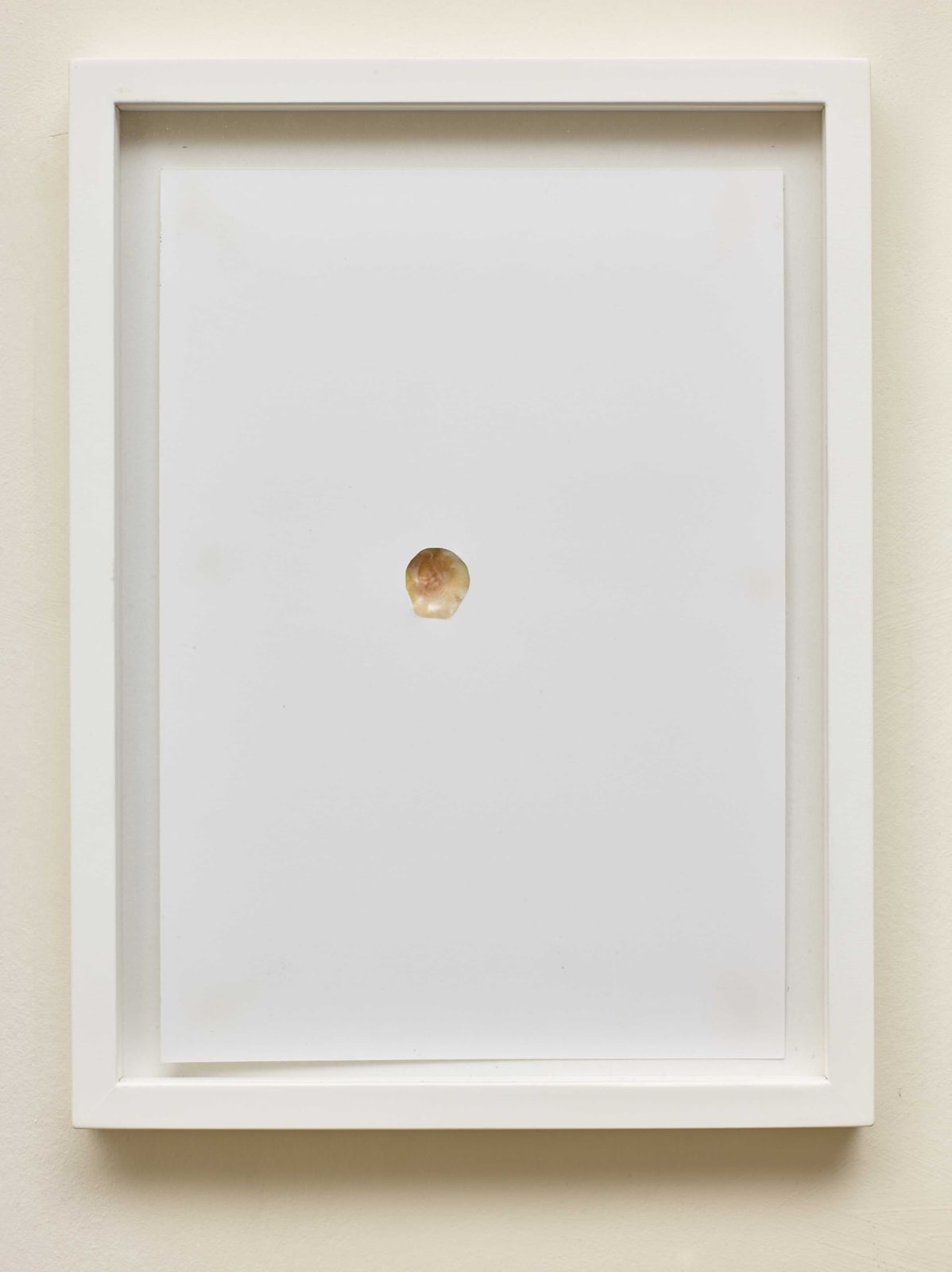 MASSIMO BARTOLINI, Shell, 2013