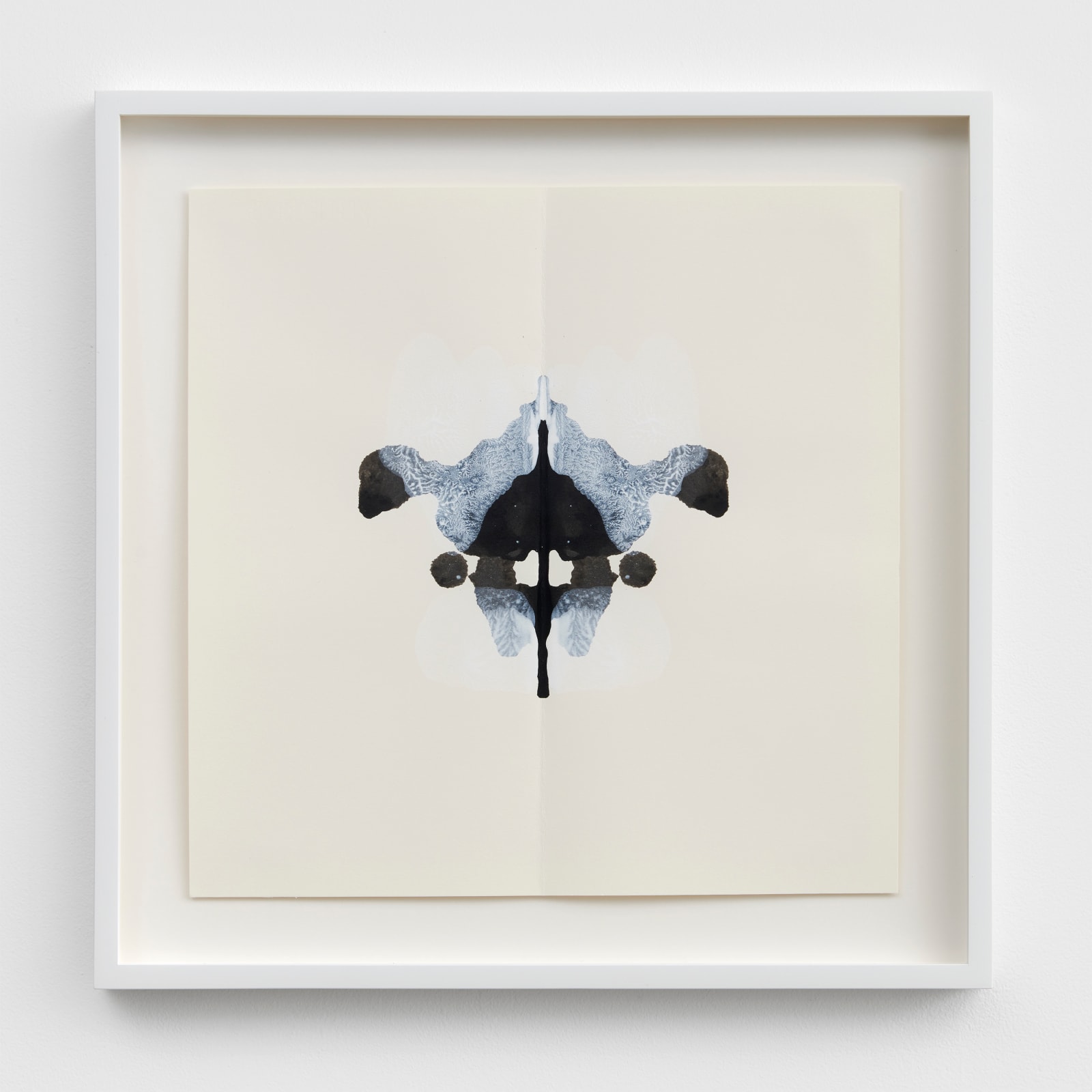 CORNELIA PARKER, Poison and Antidote Drawing, 2010