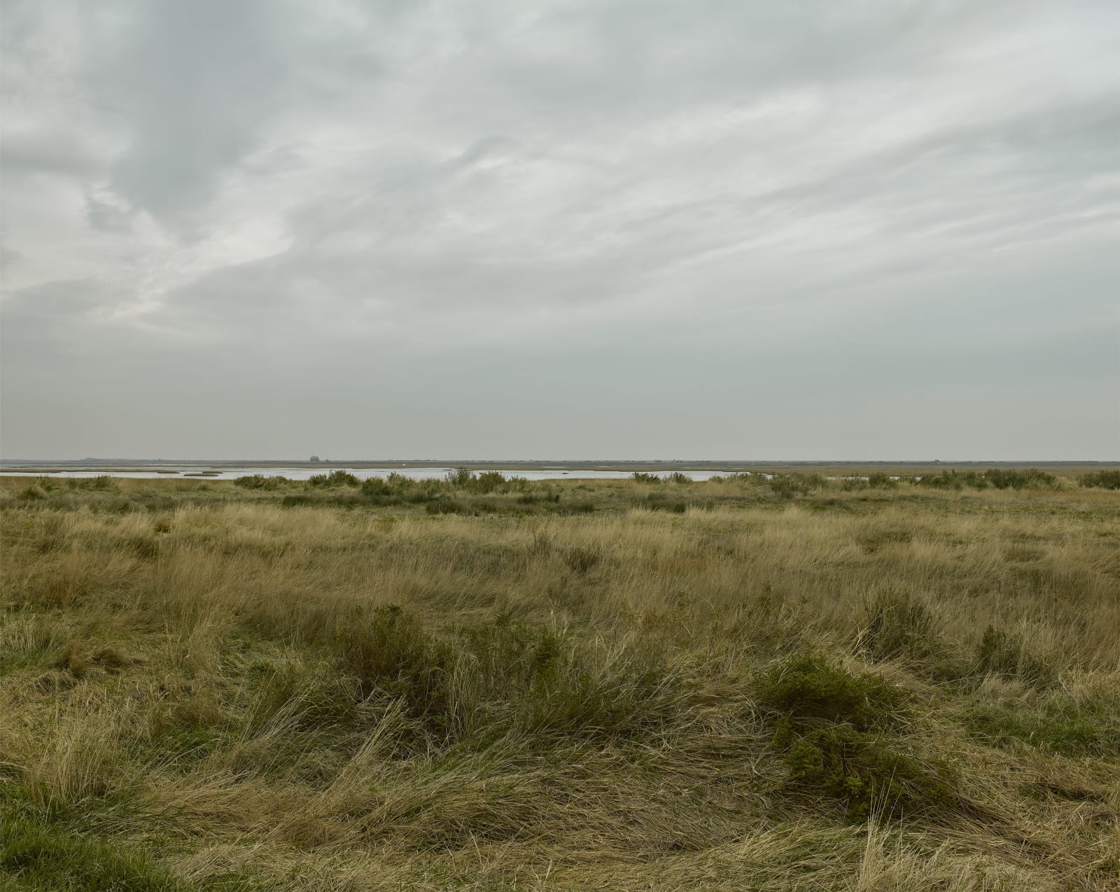 JOHN RIDDY, Blakeney, 2021–22, (Series)