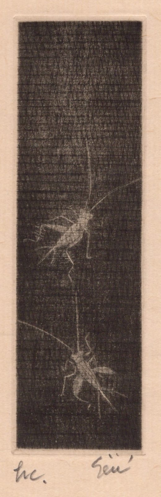 Seiichi Hiroshima, Two Korogi (Crickets) For Gyokudo, 2006