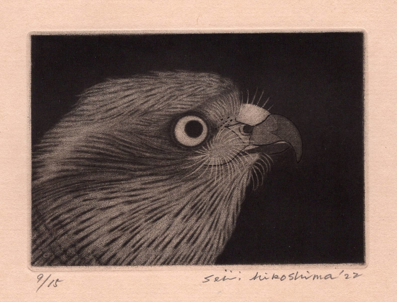 Seiichi Hiroshima, Gyosai's Taka II, 2022