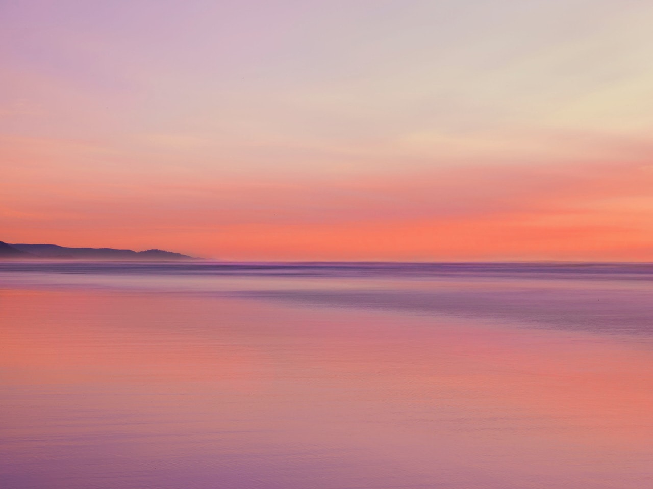 Ron van Dongen, Untitled, 2019