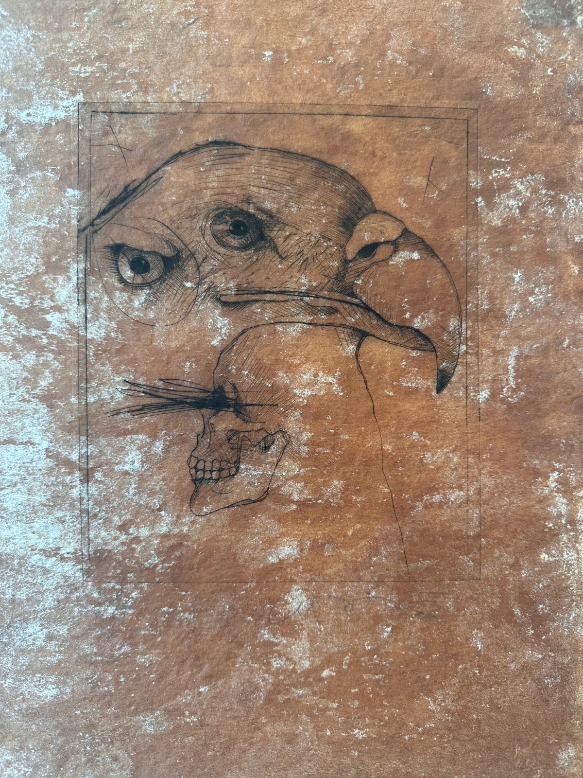 Rick Bartow, Old White Tail, 2005