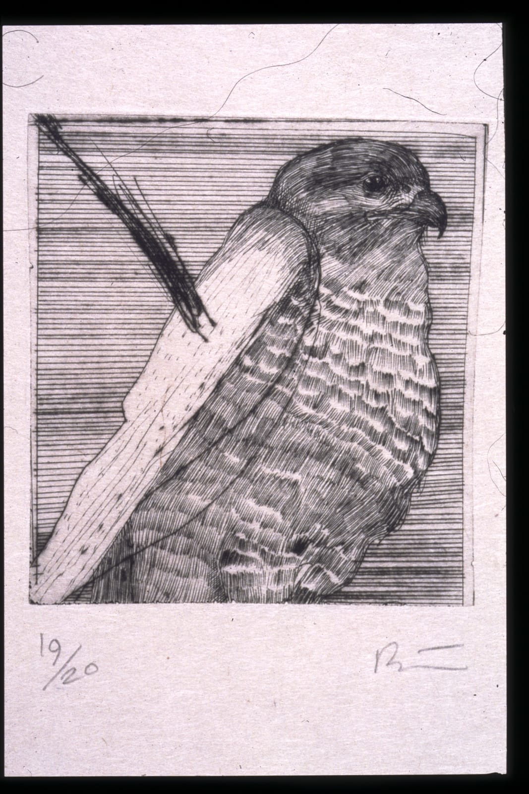 Rick Bartow, Tiny Hawk, 2000