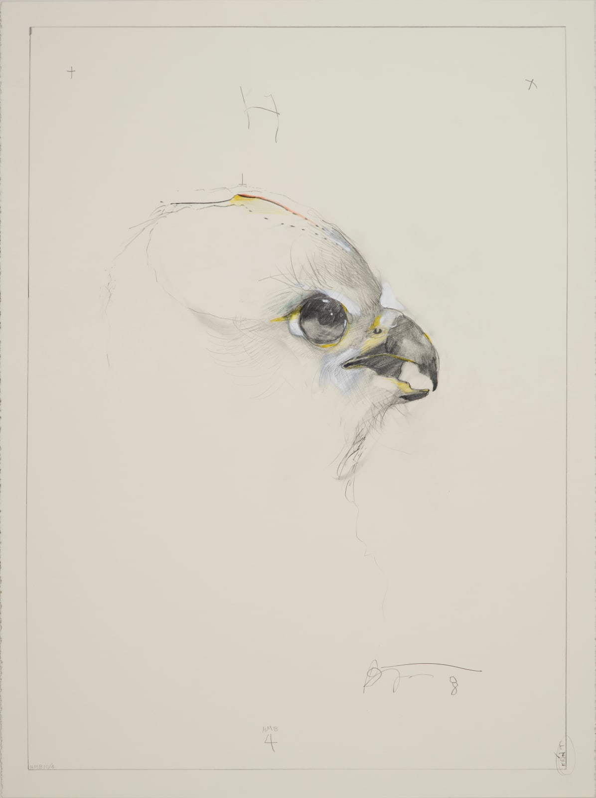 Rick Bartow, HMB 4, Hawk, 2009