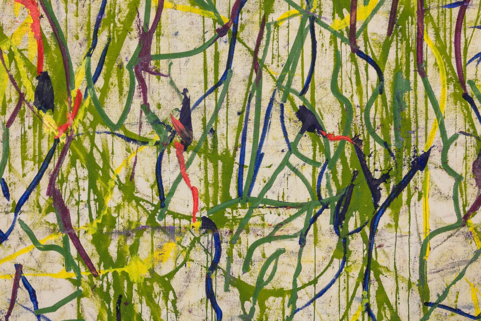 V. Maldonado, ojo de águila, 2024