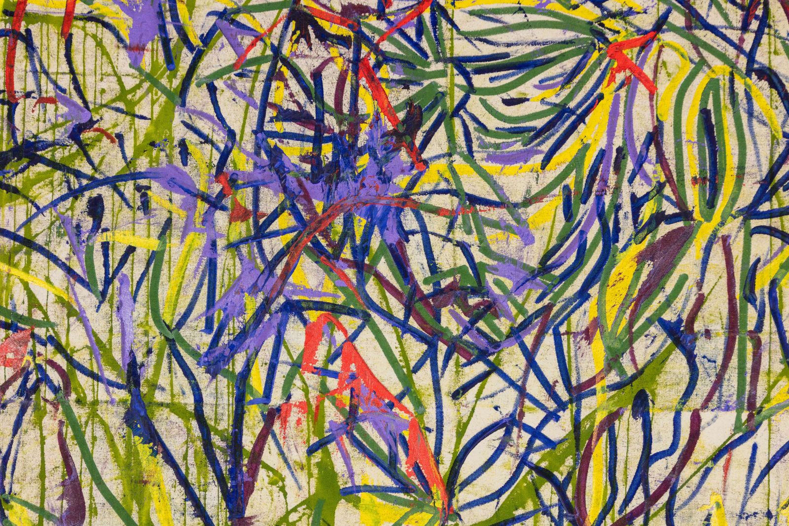 V. Maldonado, ojo de águila, 2024