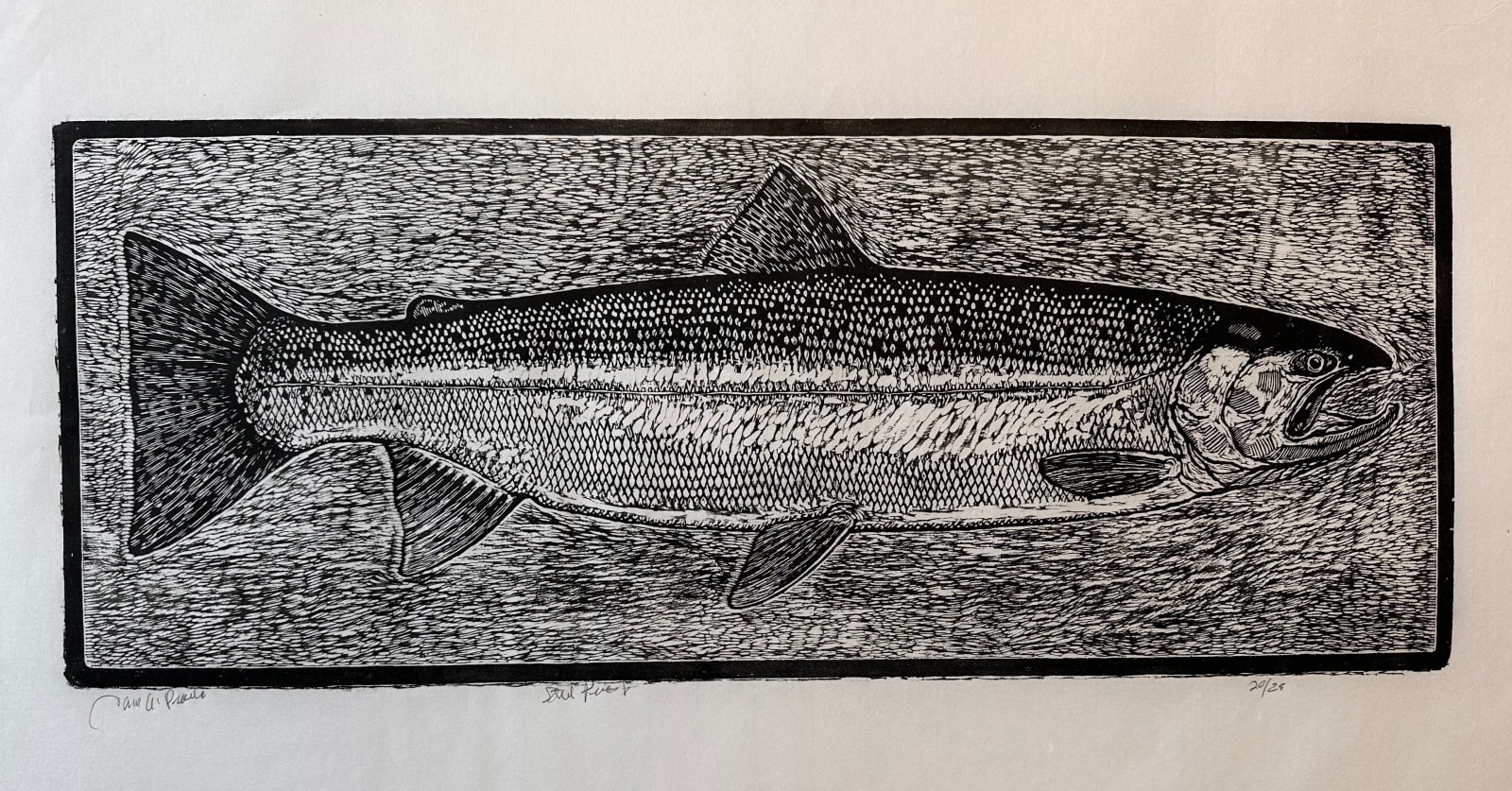 Tom Prochaska, Steelhead, 1985/2025