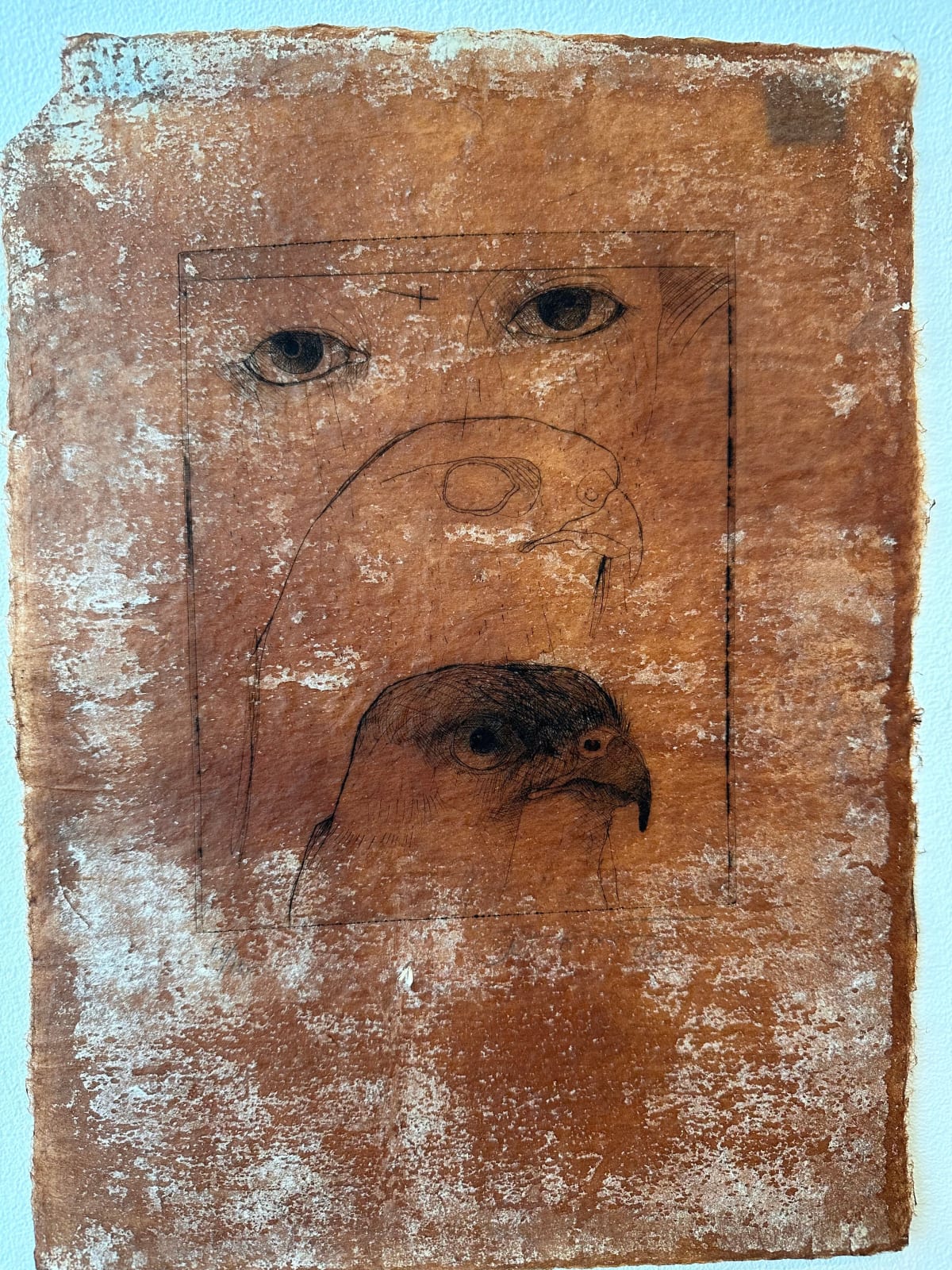 Rick Bartow, 3 Views of Hawk, 2005