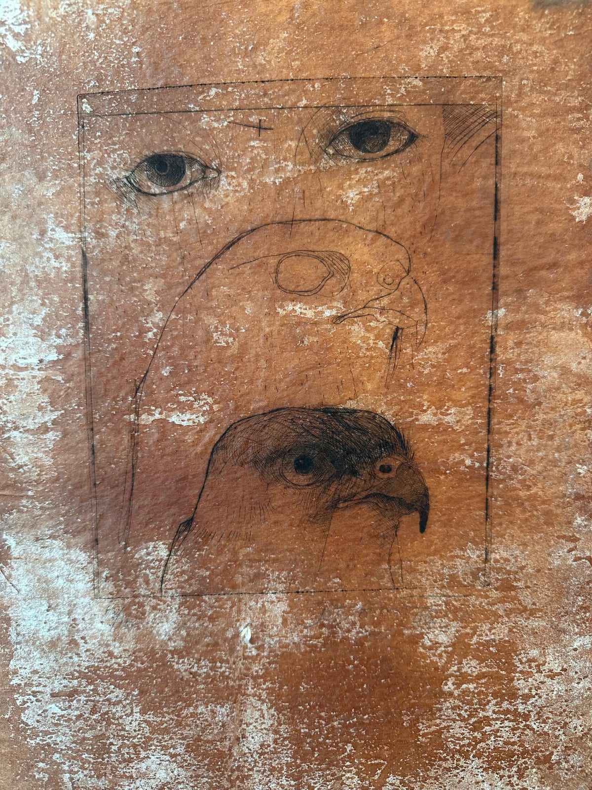 Rick Bartow, 3 Views of Hawk, 2005