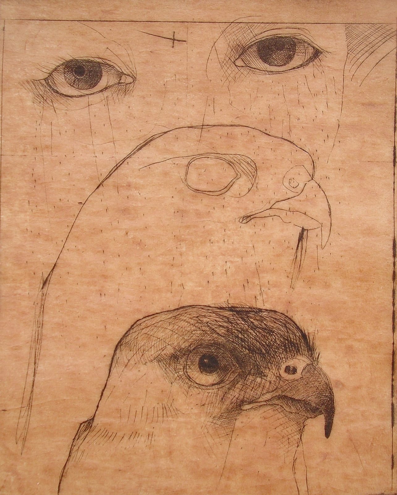 Rick Bartow, 3 Views of Hawk, 2005
