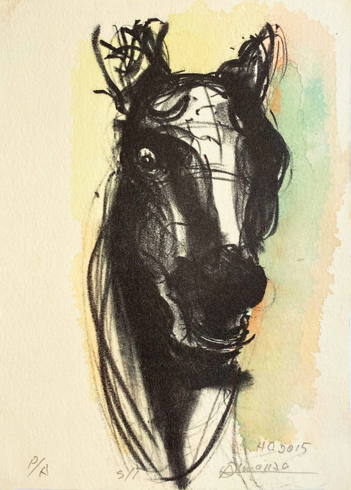 Orlando Almanza, Sin Titulo, 2015