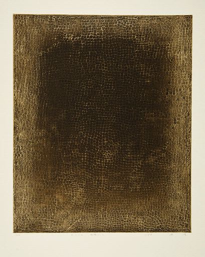 Takahiko Hayashi, The Unformed Figure: The Net Propagating Net, 2001