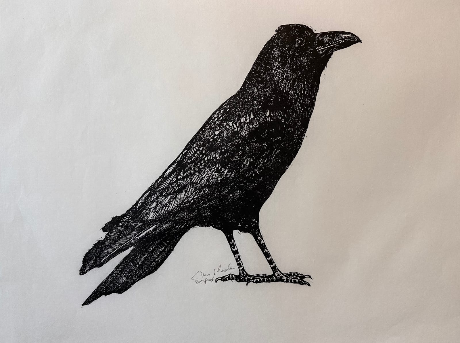 Tom Prochaska, The Raven, 1985/2025