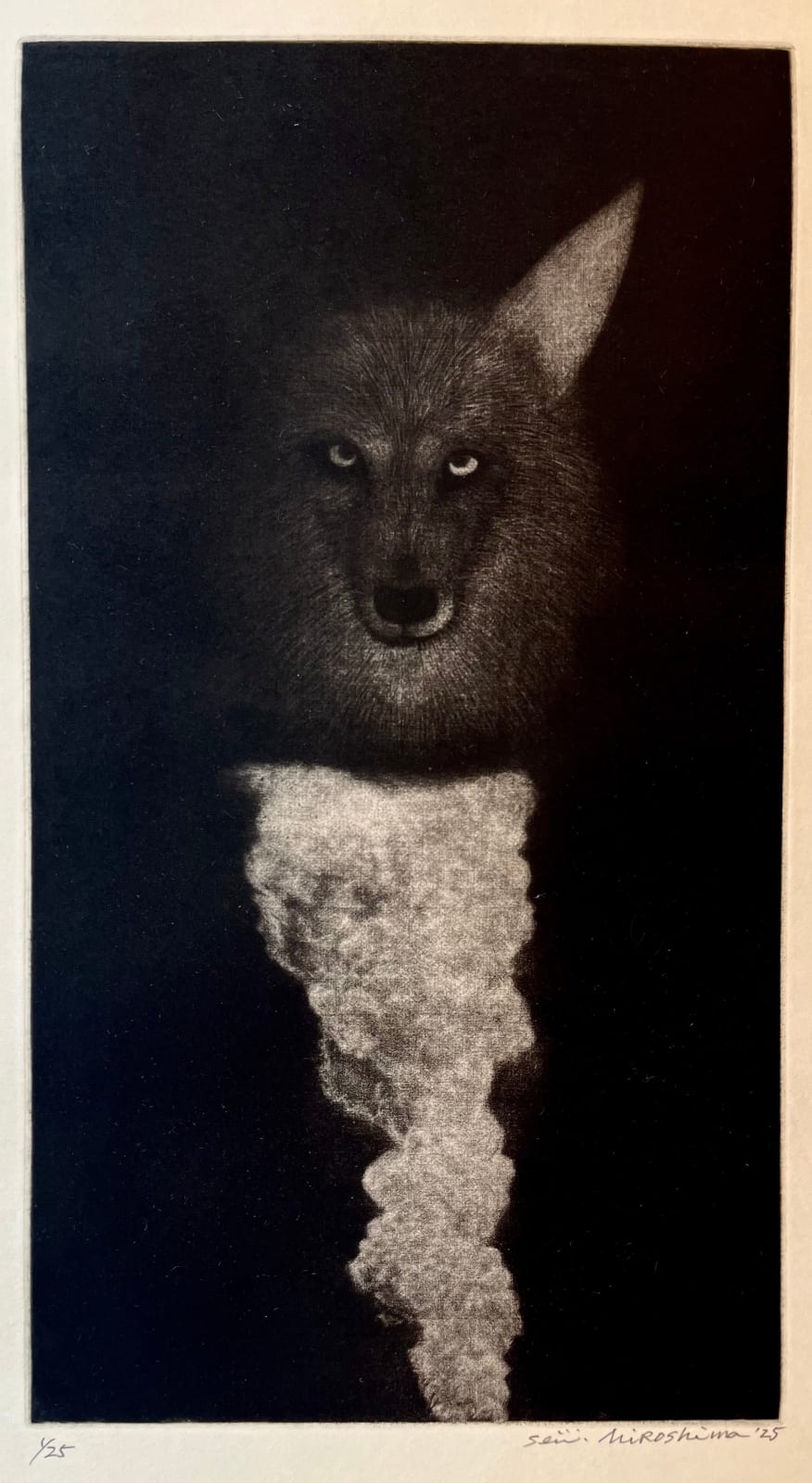 Seiichi Hiroshima, Coyote for Bartow, 2025