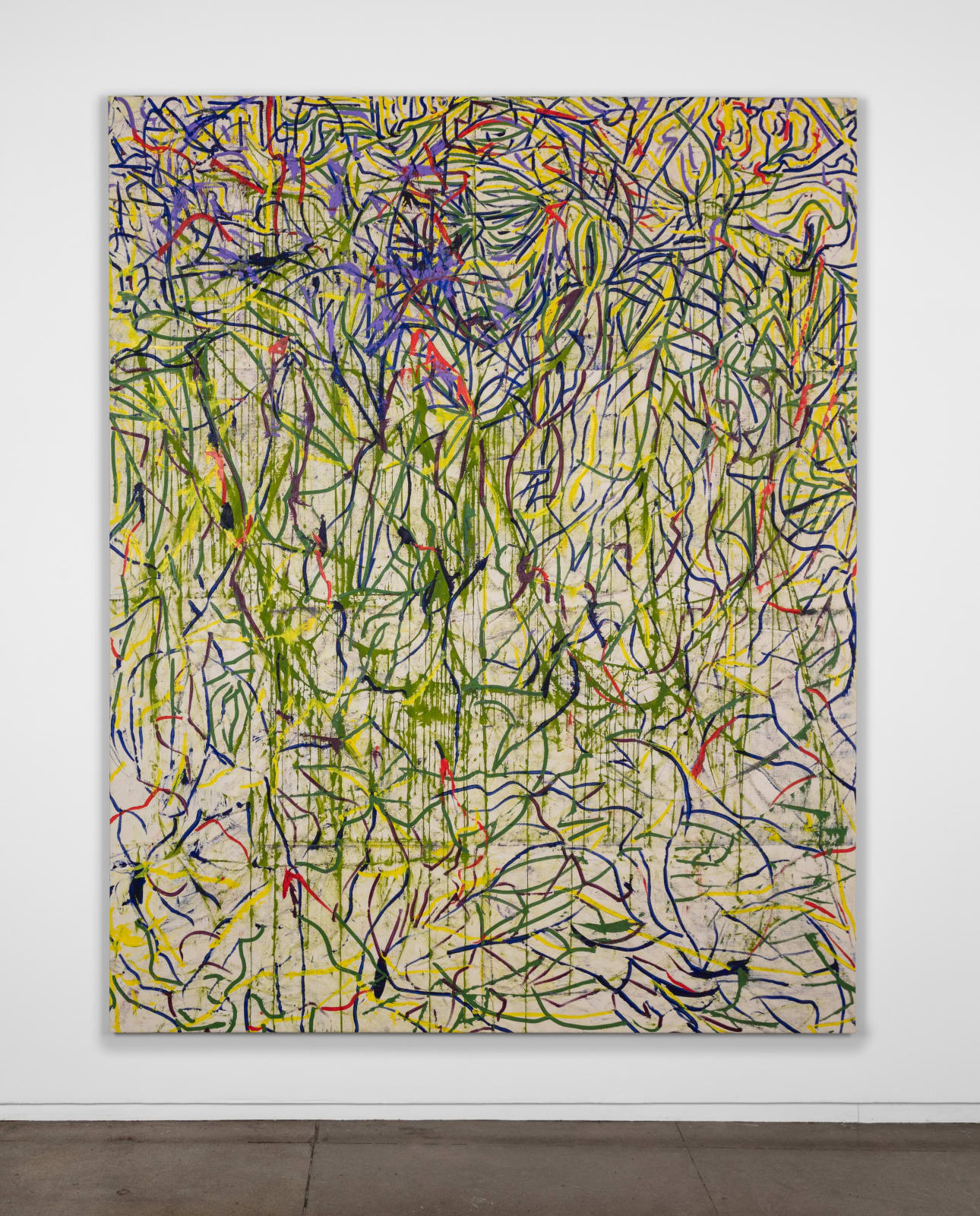 V. Maldonado, ojo de águila, 2024