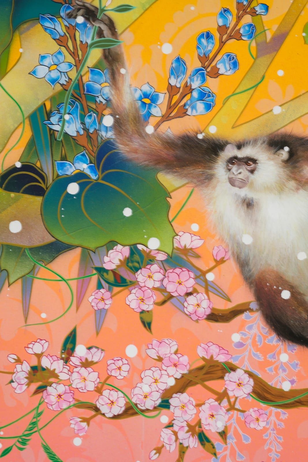 Tomokazu Matsuyama, Contrast, 2022