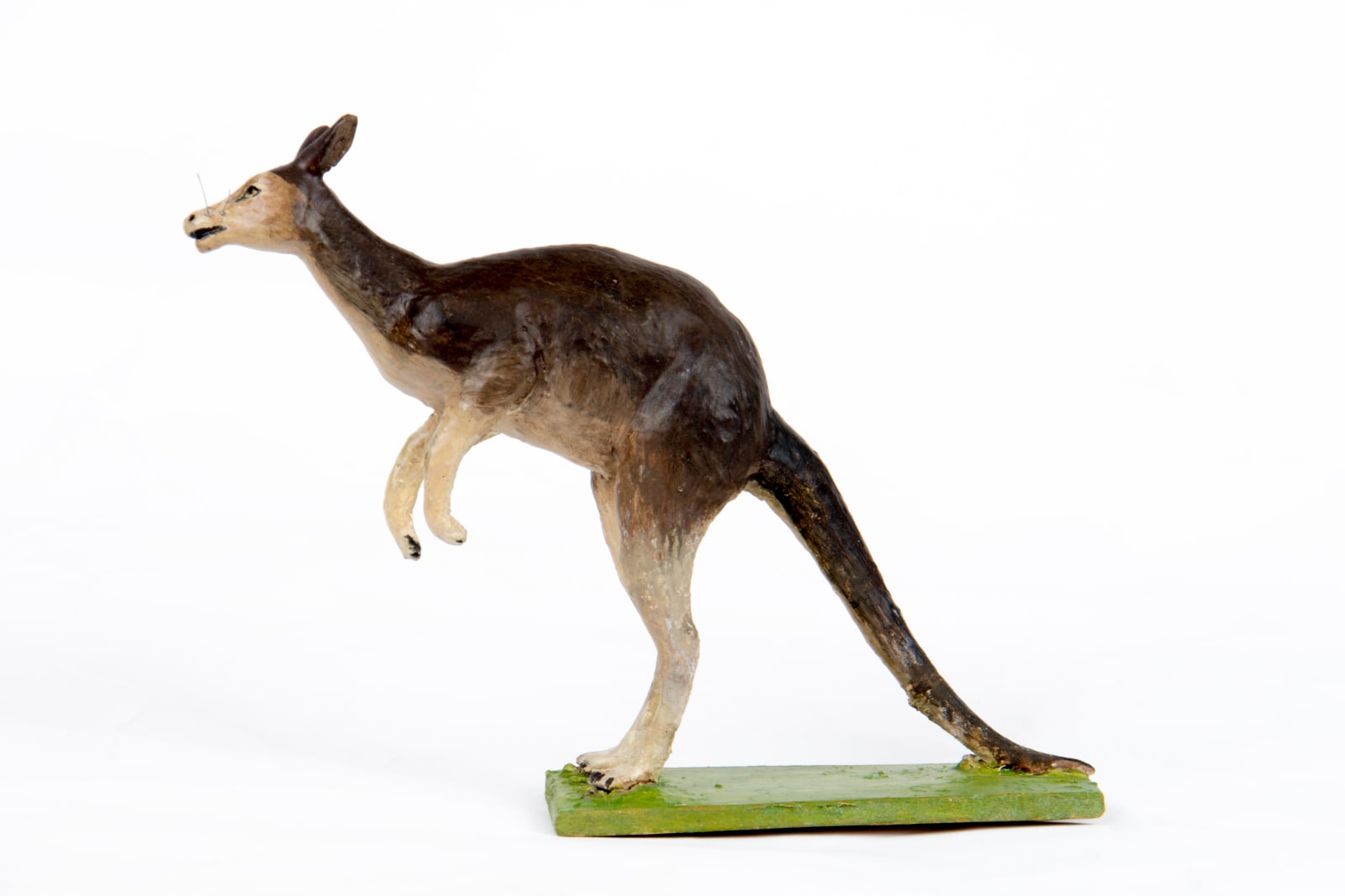 El Arca de Noé, S.XX