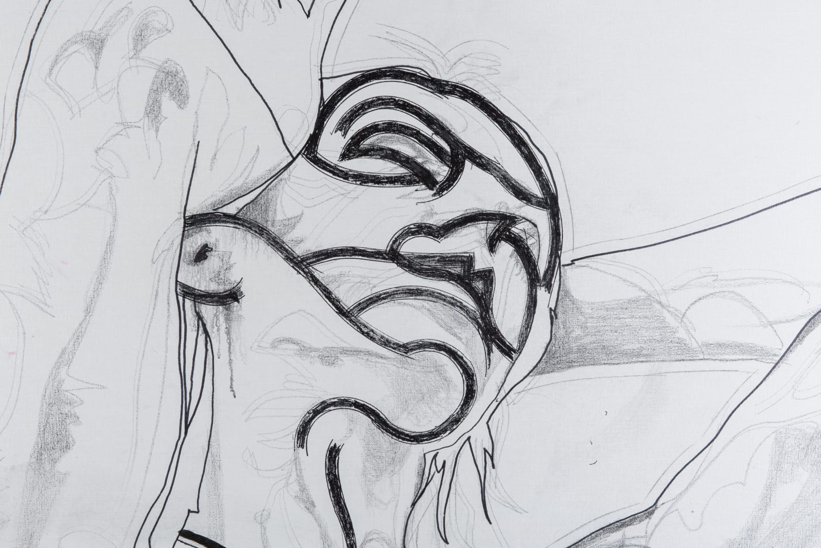 Franz Graf, Autisme, 2013