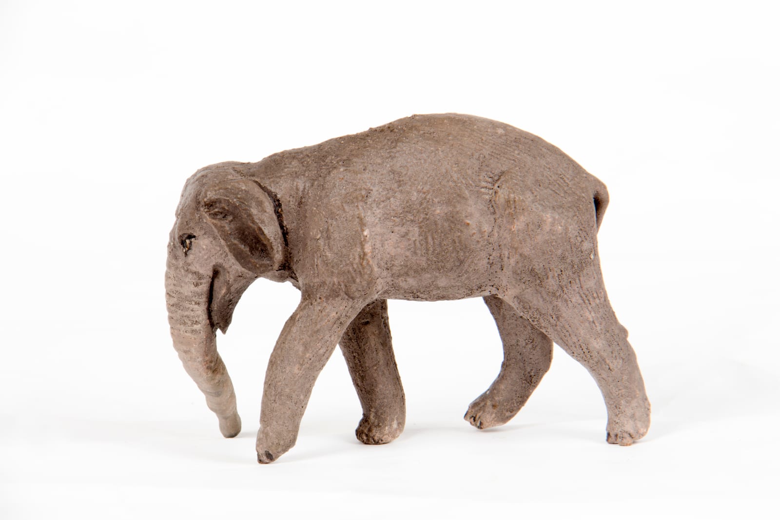 El Arca de Noé, S.XX