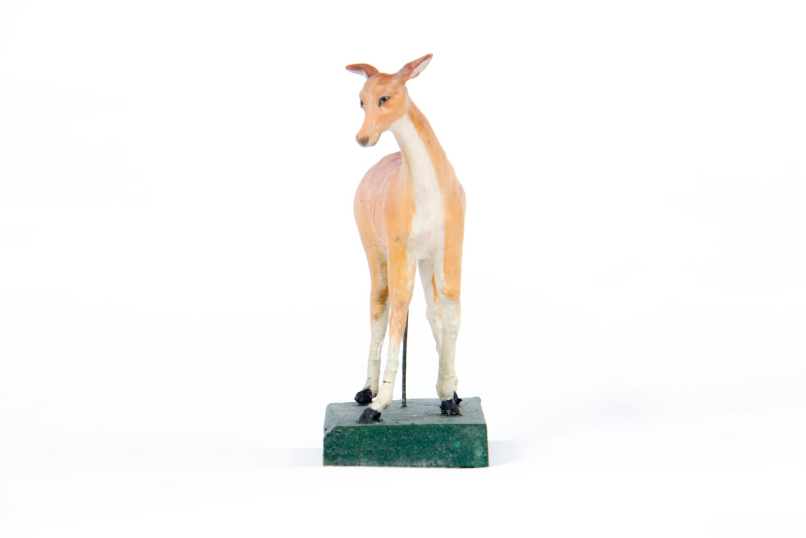 La expulsión del paraíso, S.XX