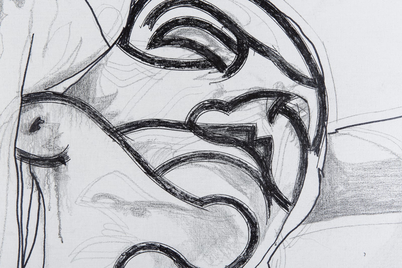 Franz Graf, Autisme, 2013