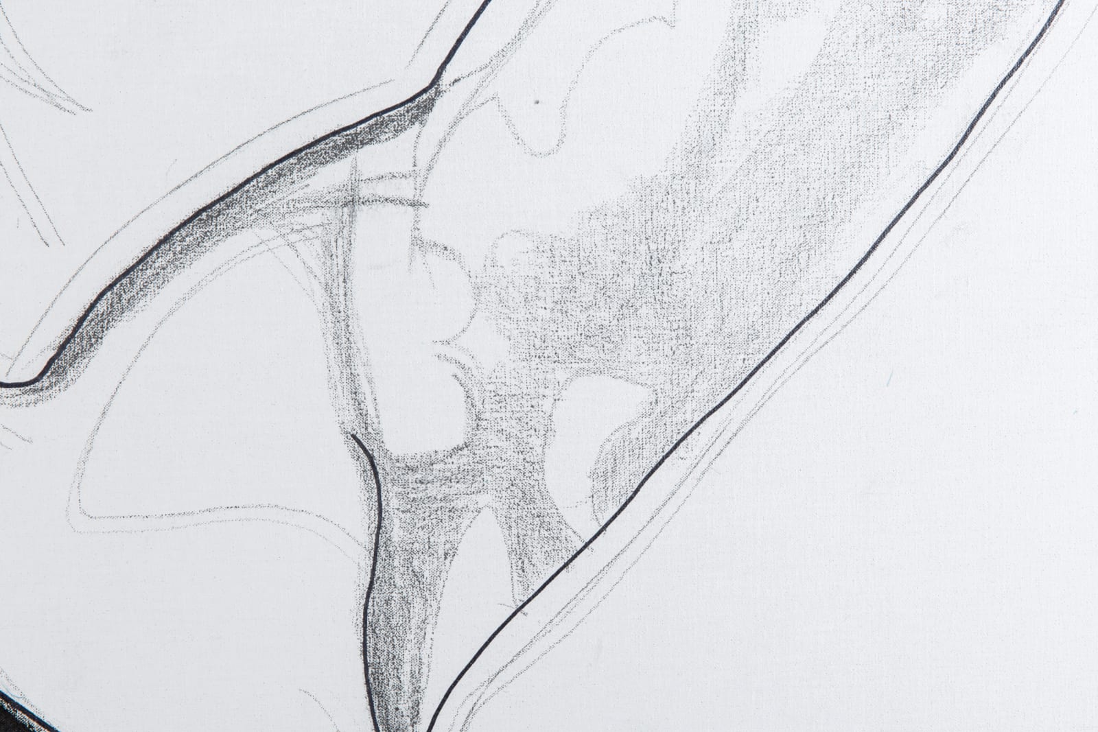 Franz Graf, Autisme, 2013