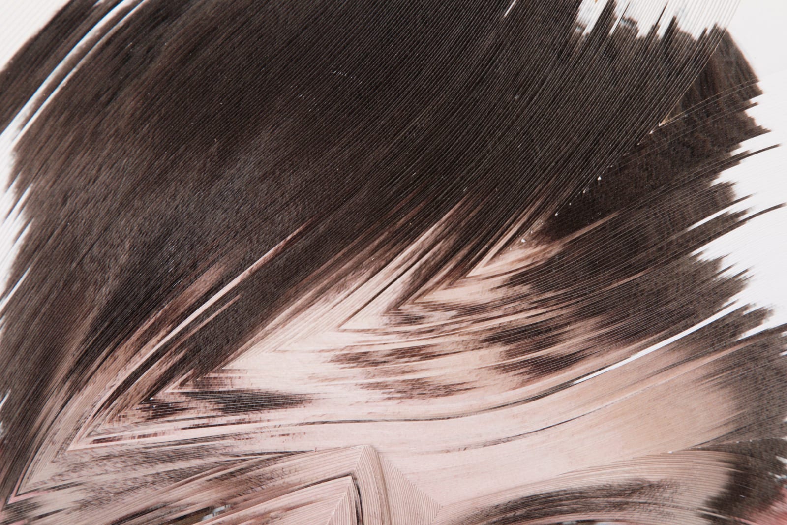 Nerhol, Atlas 15, 2014