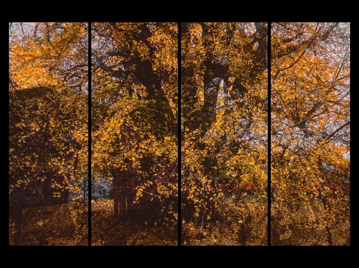 Michael Cherney, Shadow Curtains 影幔 #9a, Conception and Design: Spring 2018