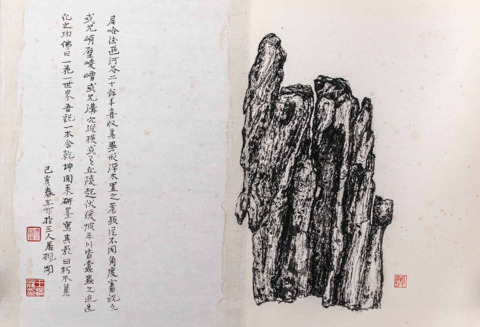 Wang Mansheng, Collection of Rotted Wood 朽木集, 2019