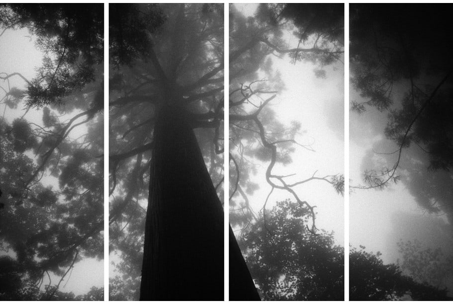 Michael Cherney, Shadow Curtains #8b 影幔 #8b