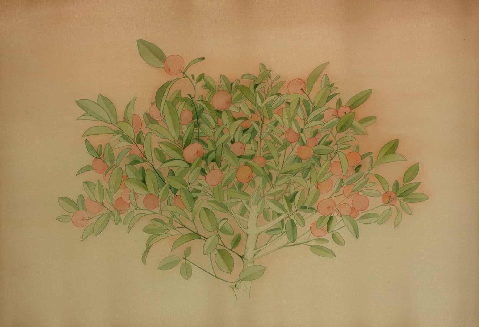 Chen Duxi, Orange tree 桔子树, 2020