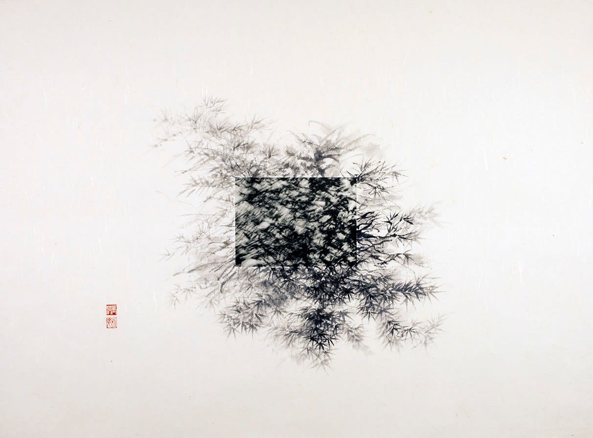 Arnold Chang & Michael Cherney, Ink Bamboo #1, 2015