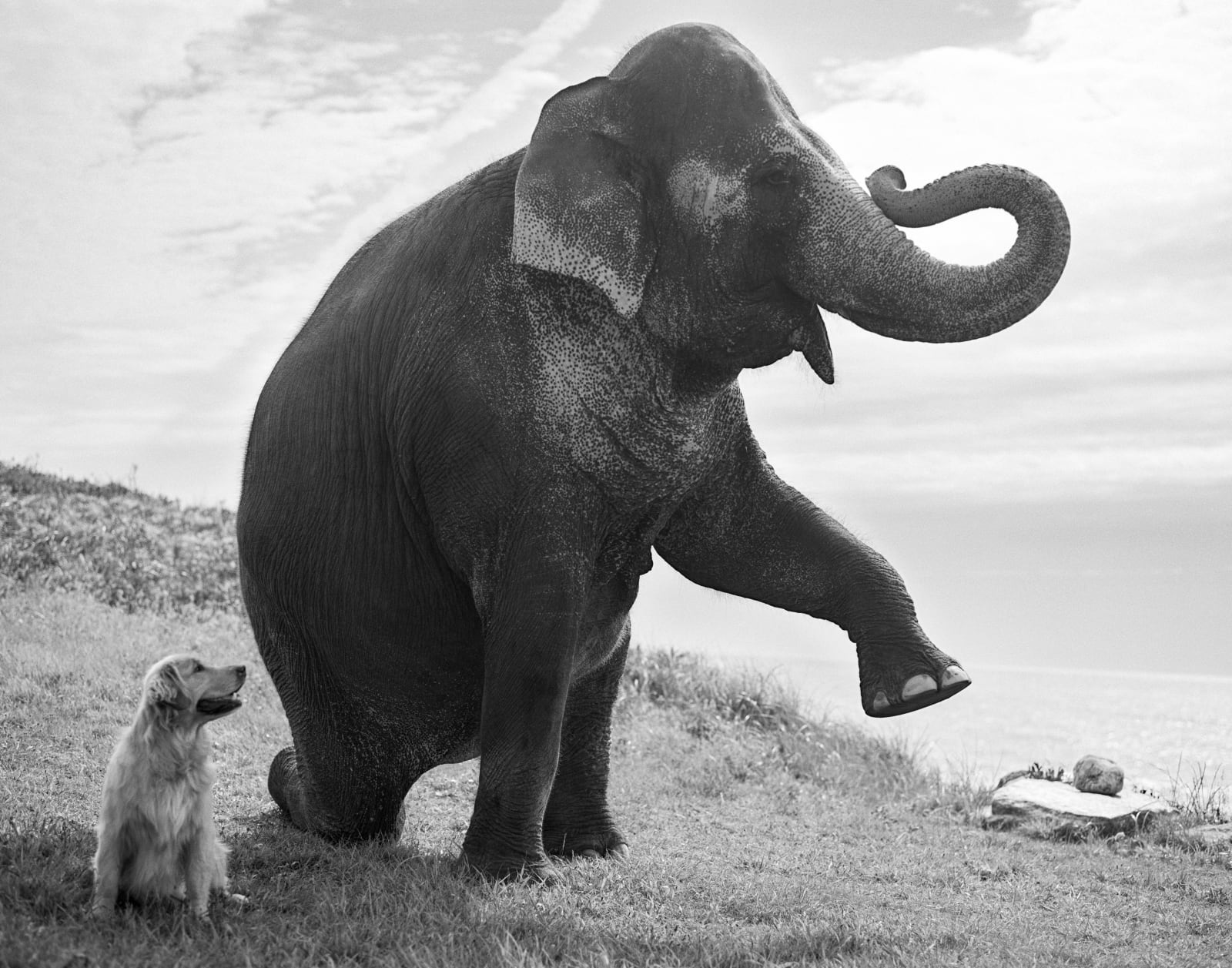 Bruce Weber, “A Letter to True,” True and Tai, Montauk, New York, 2003.