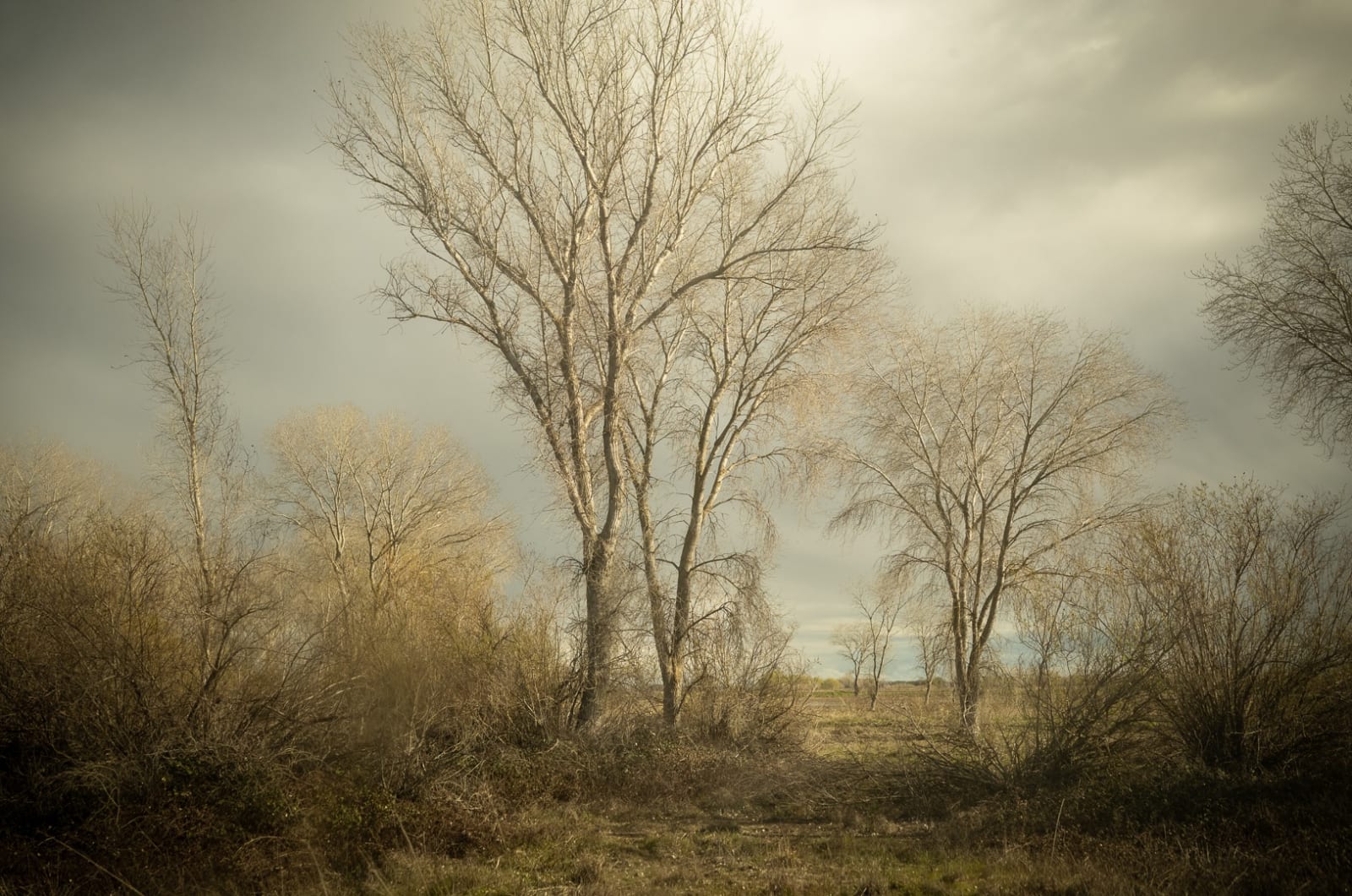 Todd Hido, 12161-1598, 2023.