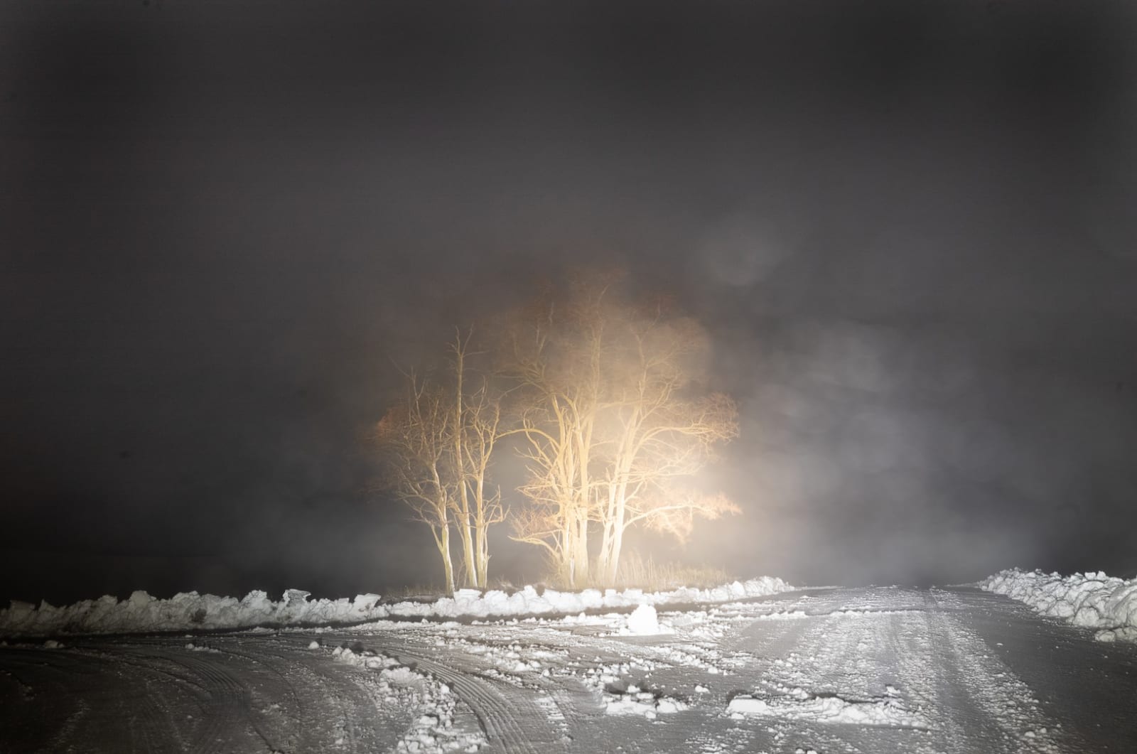 Todd Hido, 12044-4795, 2022.
