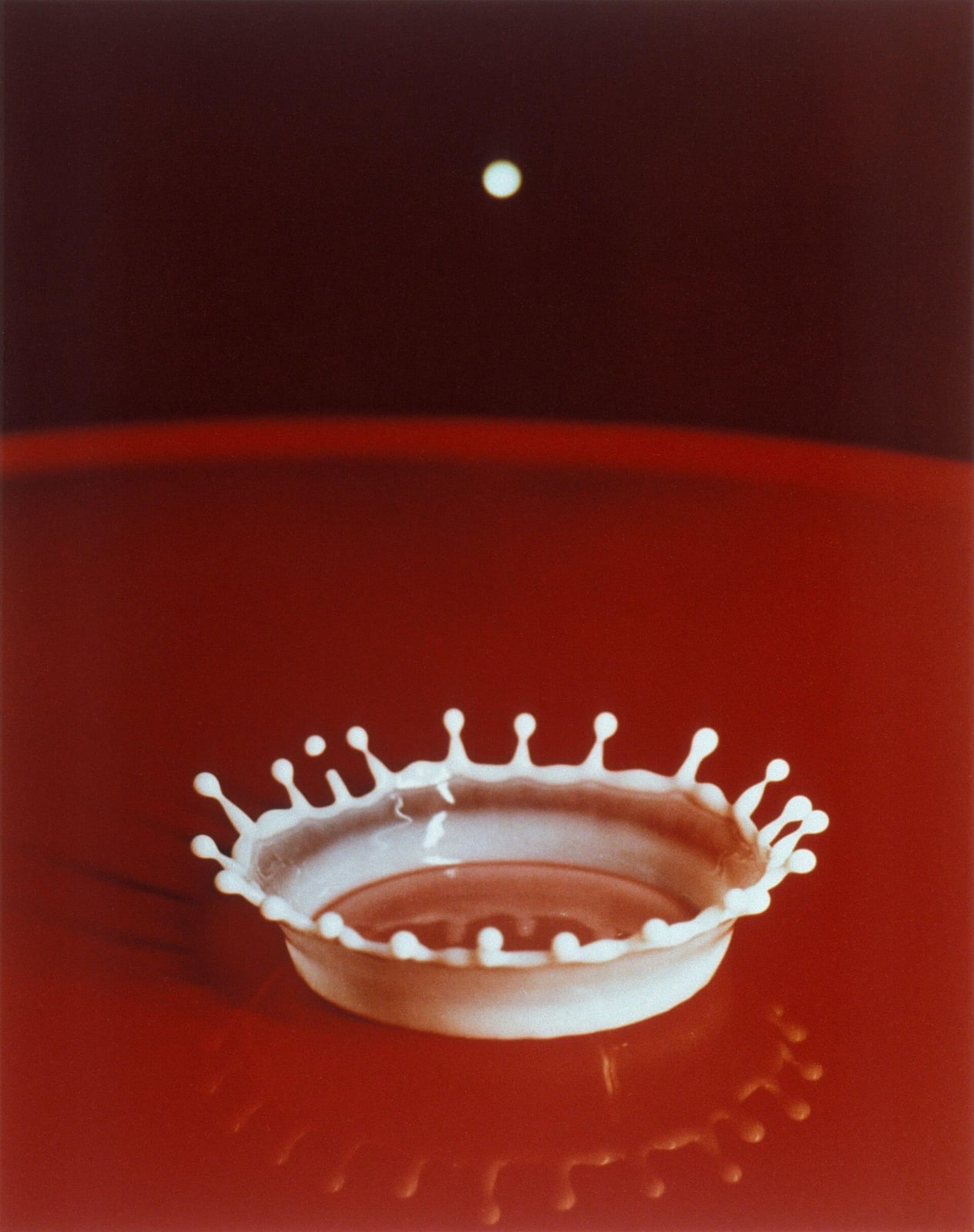 Harold Edgerton, Milk Drop Coronet, 1957.