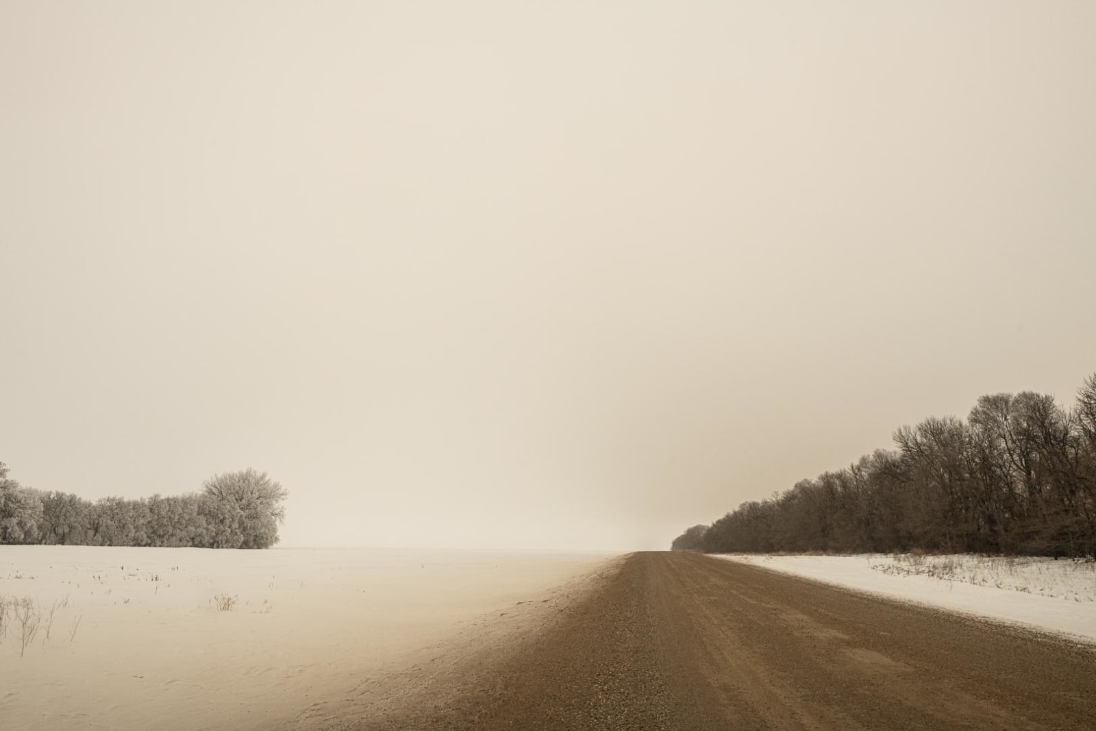 Todd Hido, 12005-4661, 2019.