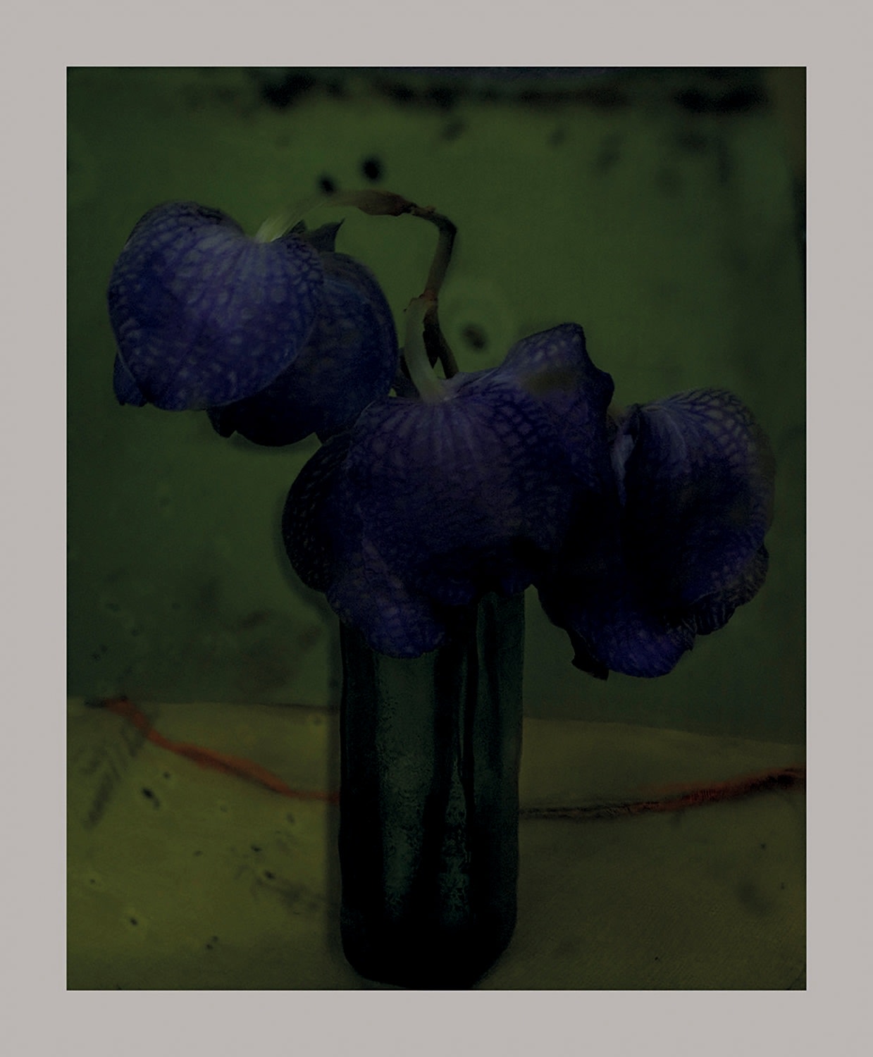 Sarah Moon, Les Orchidées, 2010.