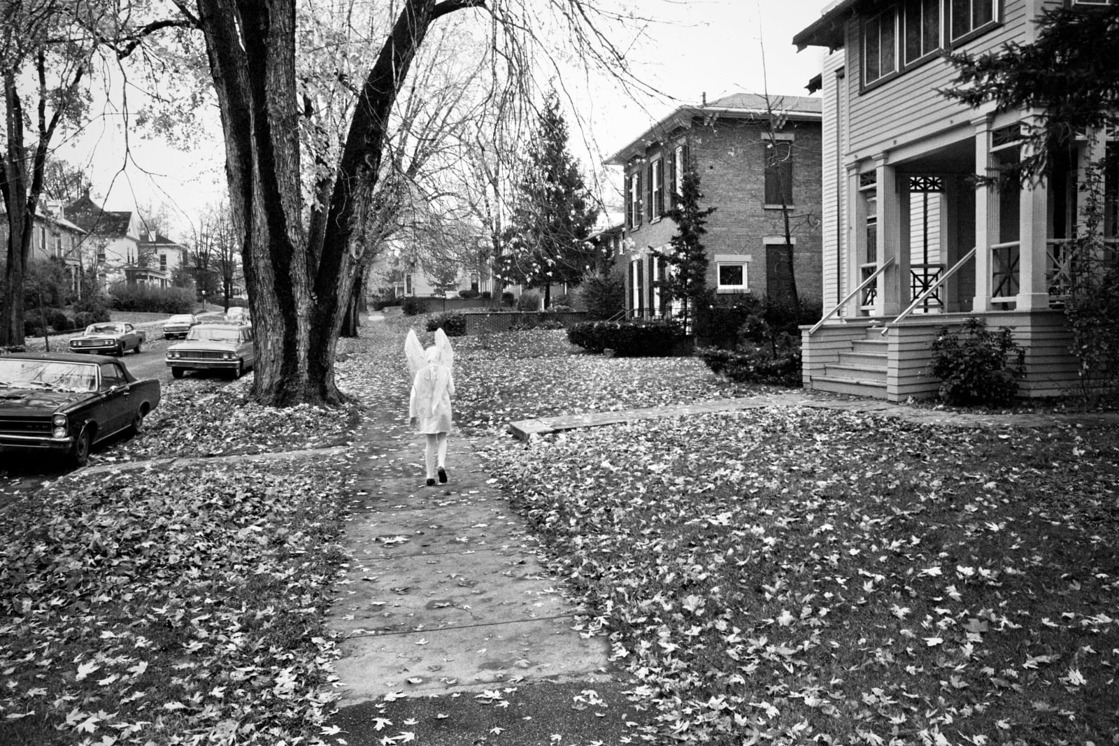 Clark Winter, Halloween, Delaware, Ohio, 1973.
