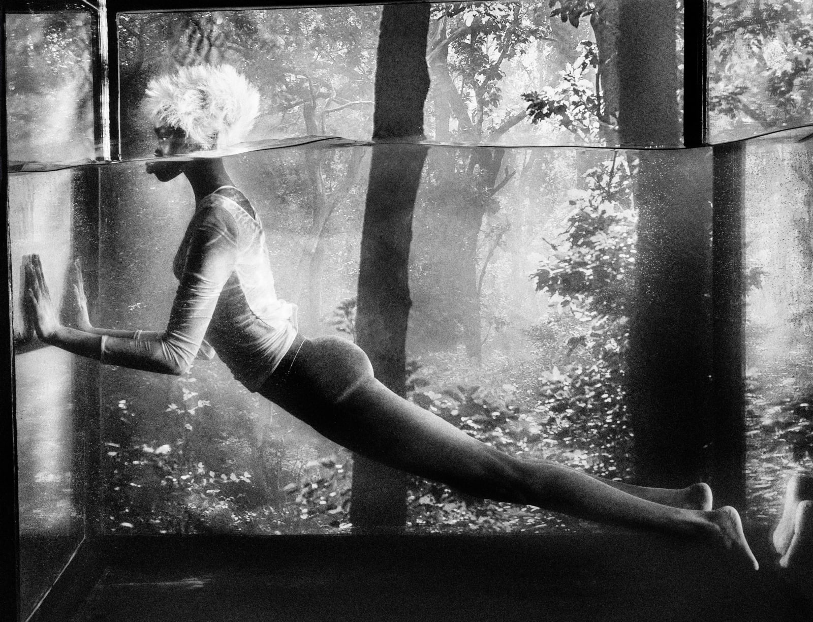 Txema Yeste, Tropical Water, 2021.