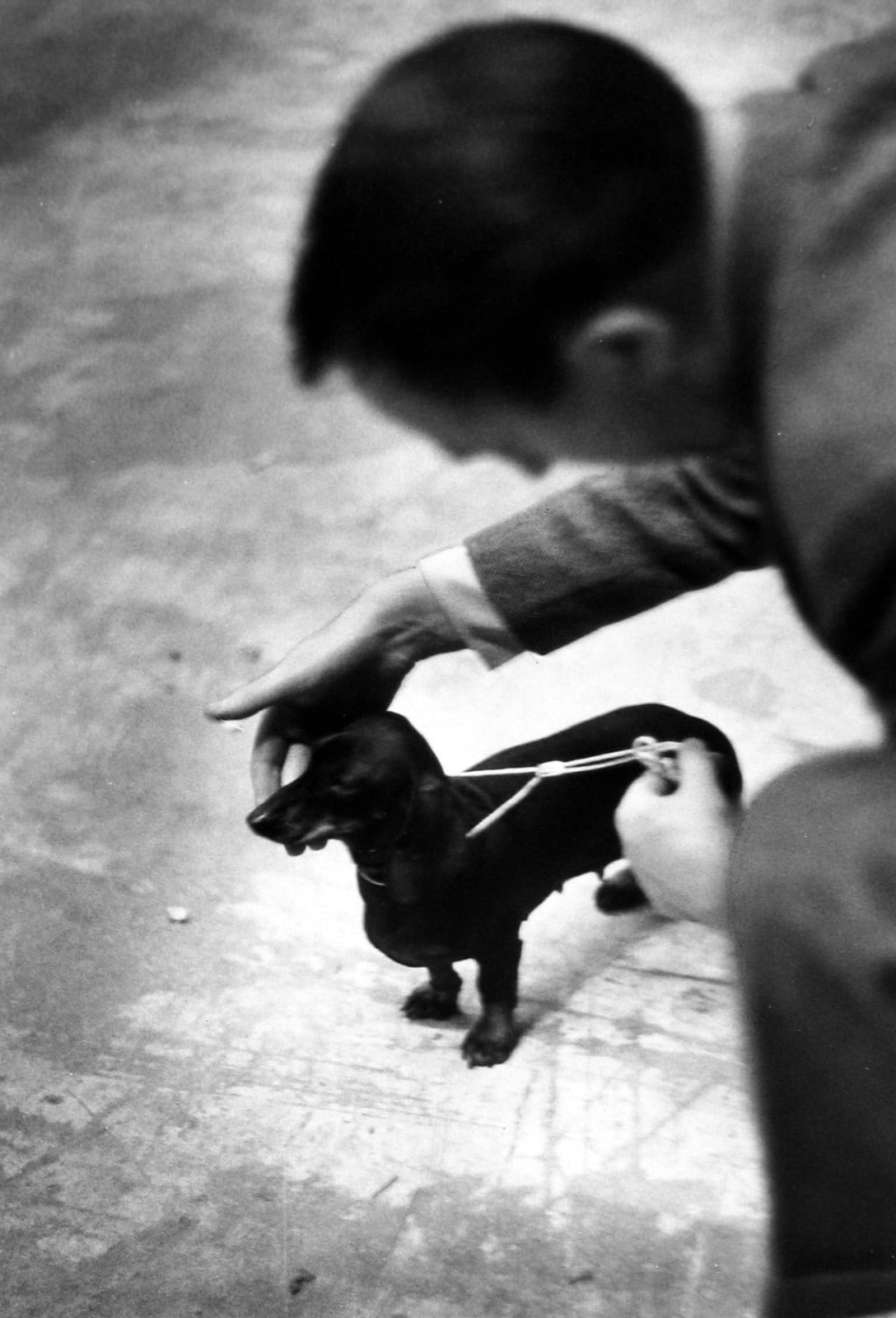 Ruth Orkin, Man Patting Dachshund, C.1959.