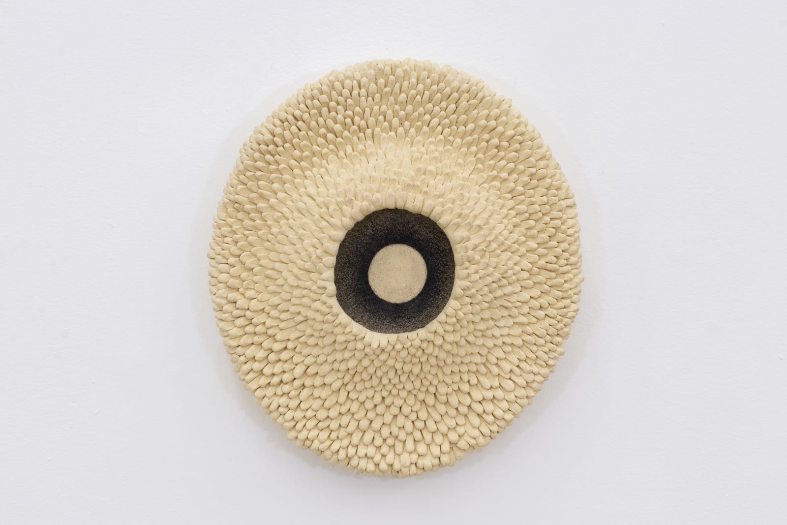 Ayla Tavares, Coral, 2024
