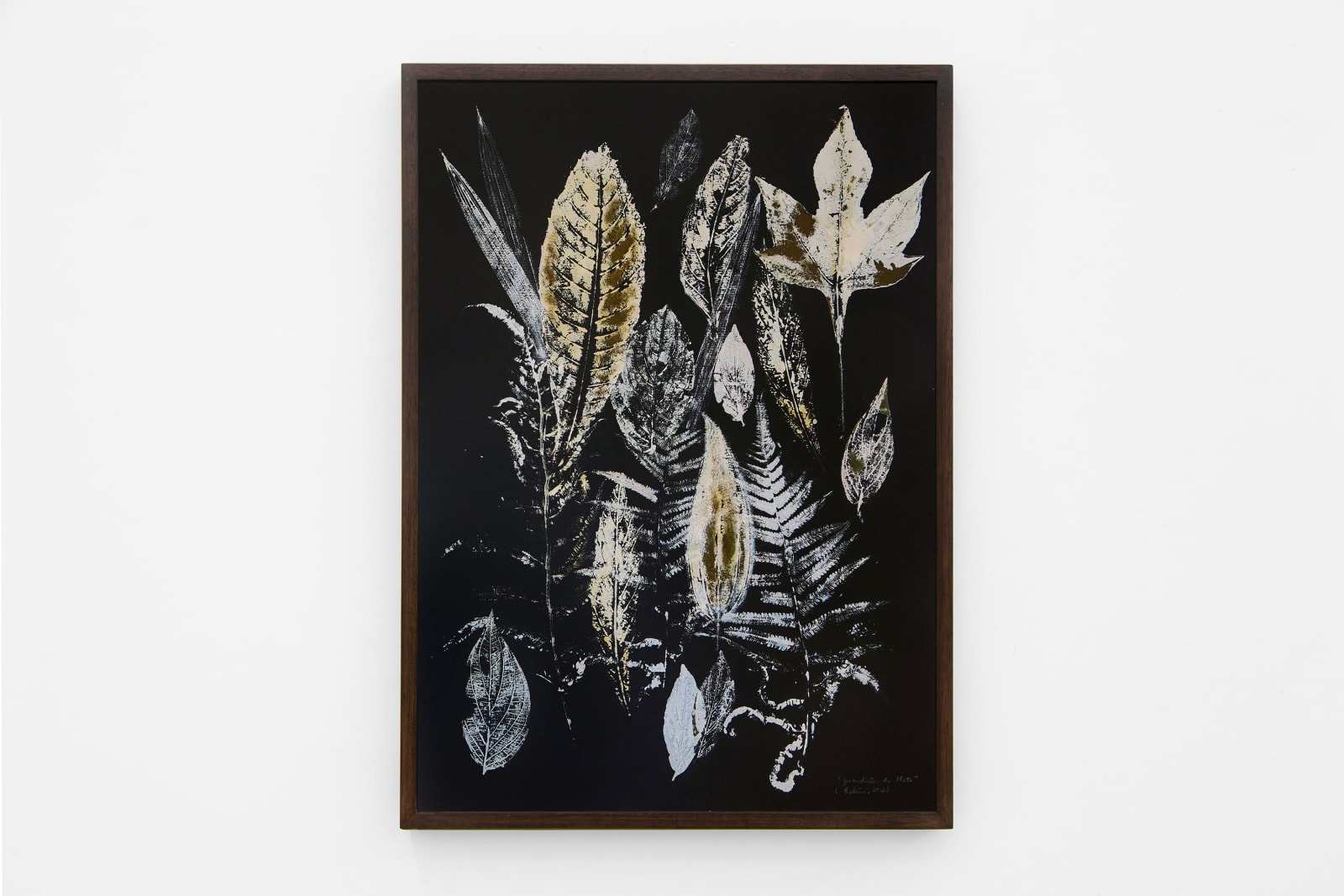 Laura Belém, Guardiães da Mata, 2023