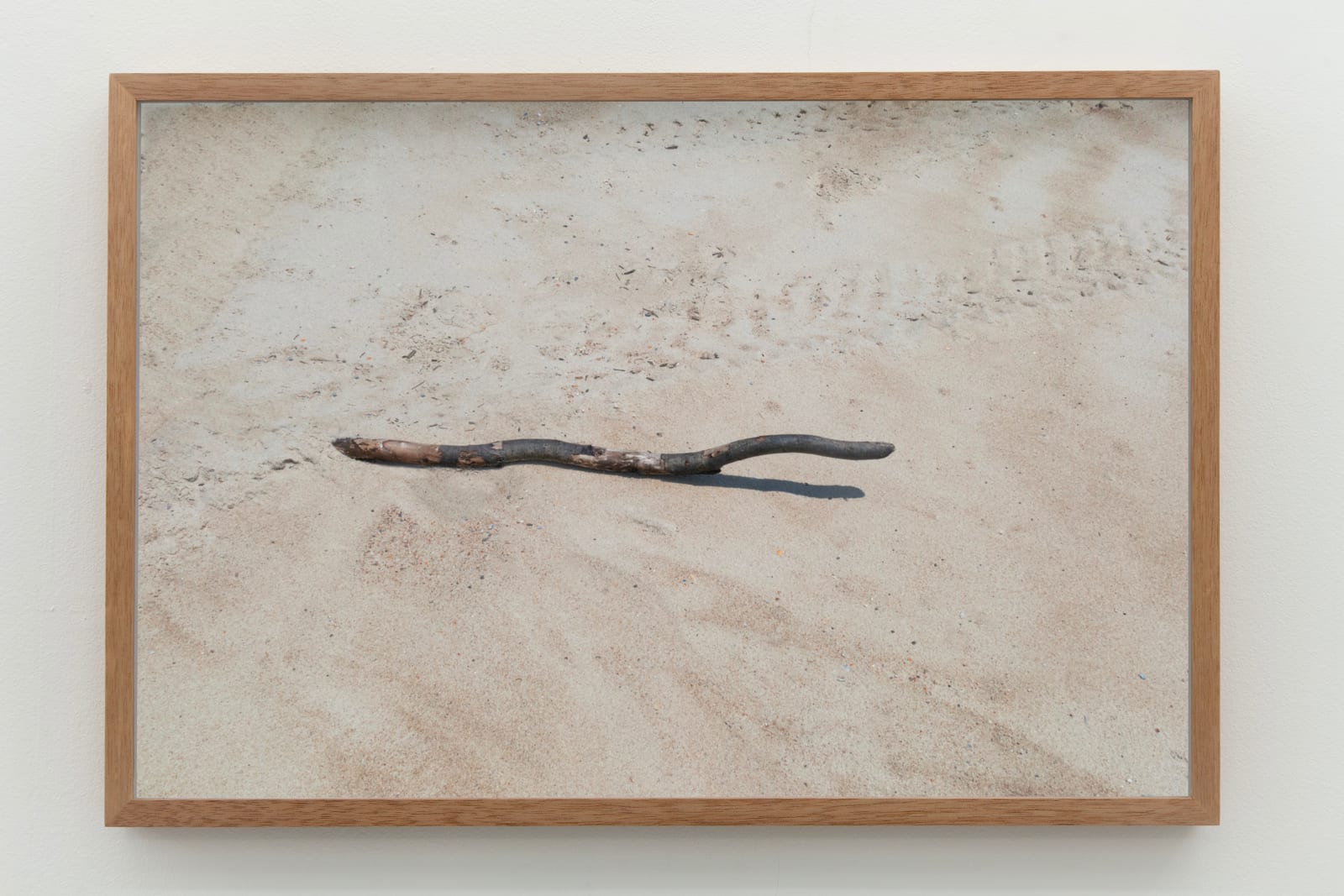 Laura Belém, Bicho, 2023