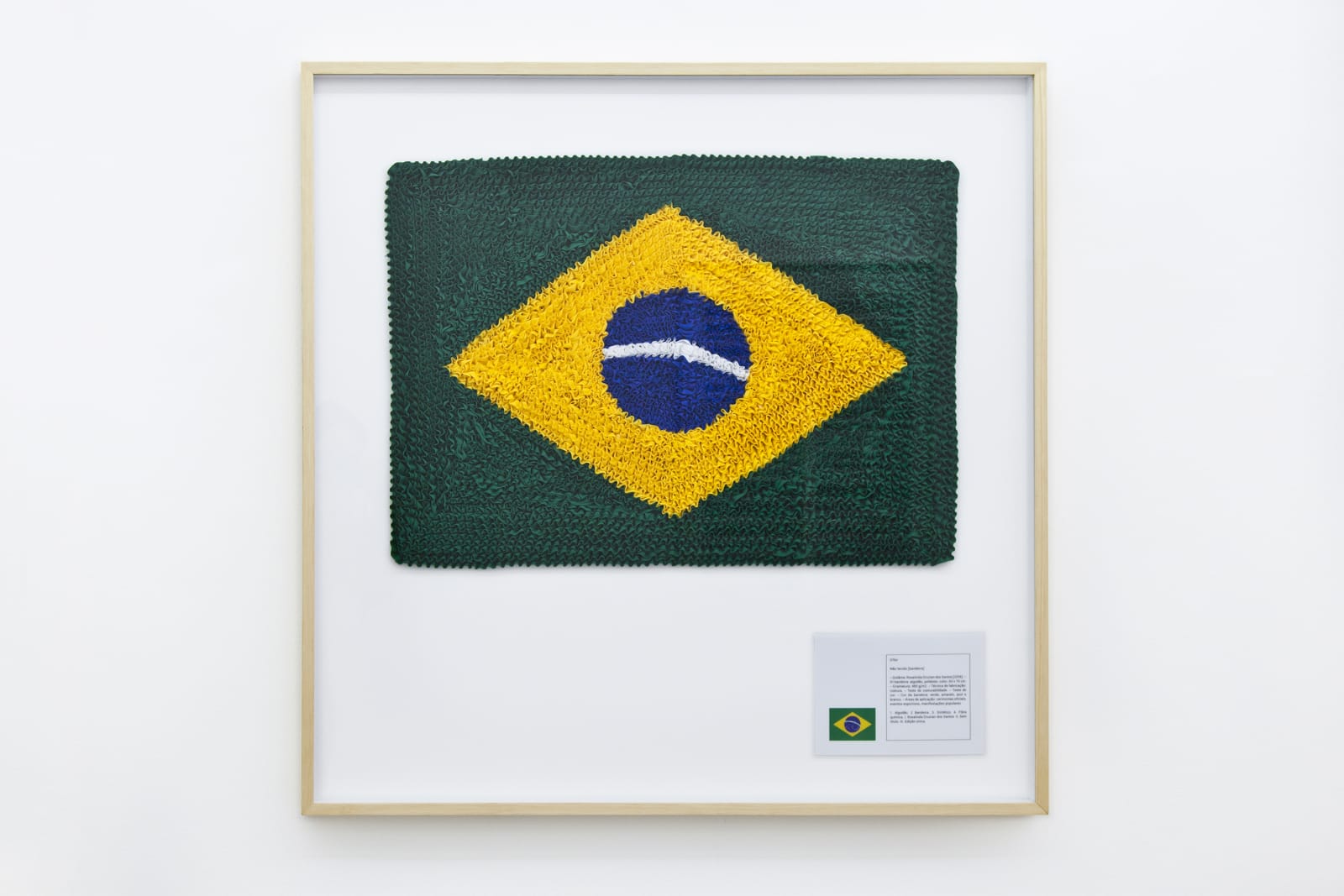 Jaime Lauriano, Bandeira Nacional #7 (National Flag #7), 2015
