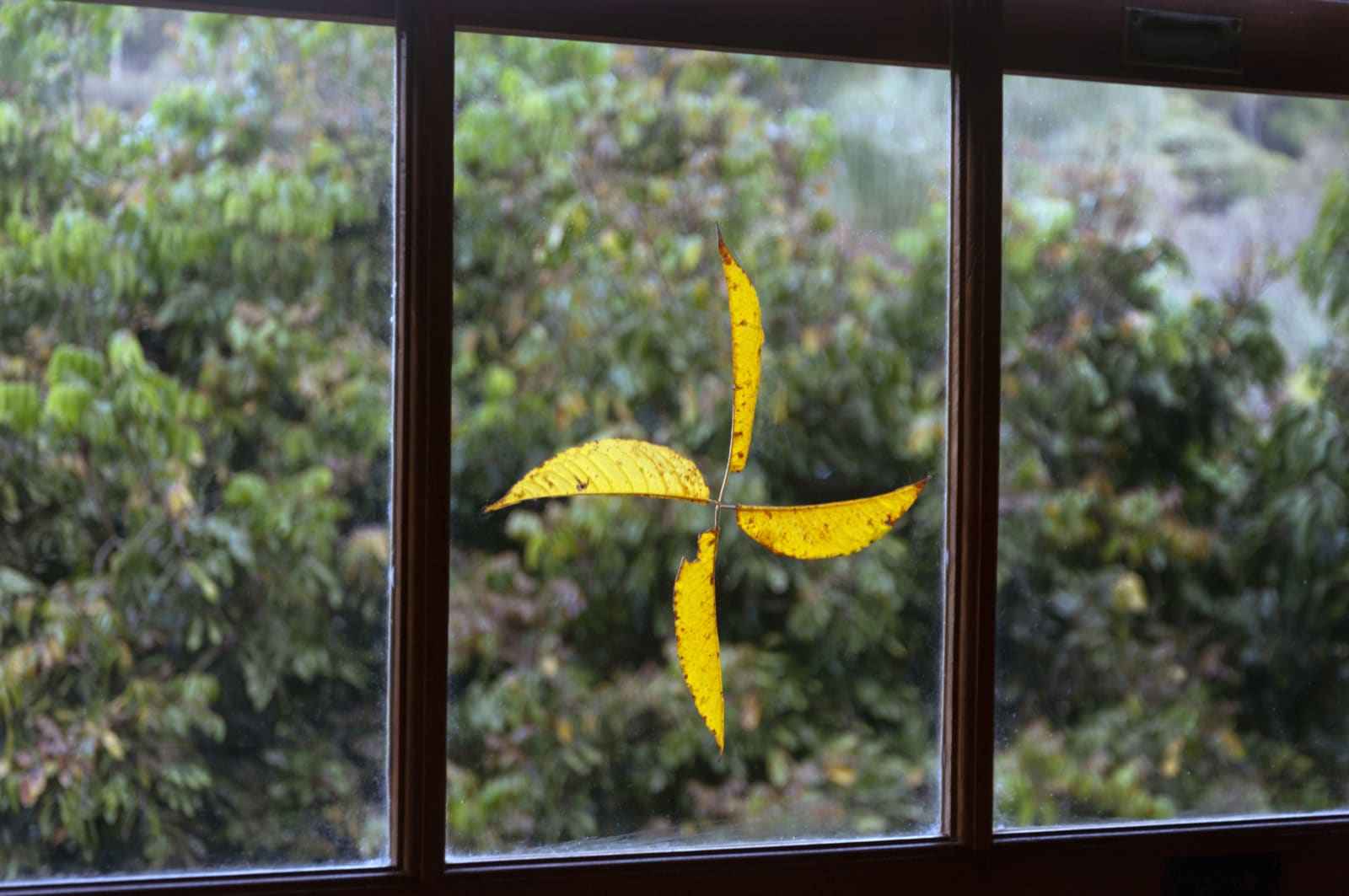 Laura Belém, Catavento, 2020