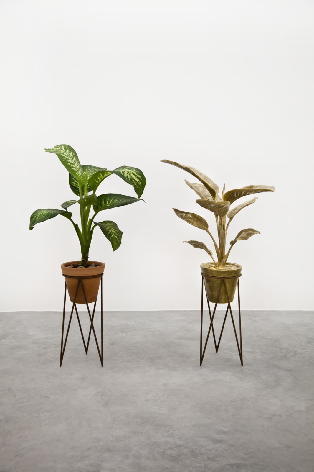 Vanderlei Lopes, Comigo-Ninguém-Pode, 2017