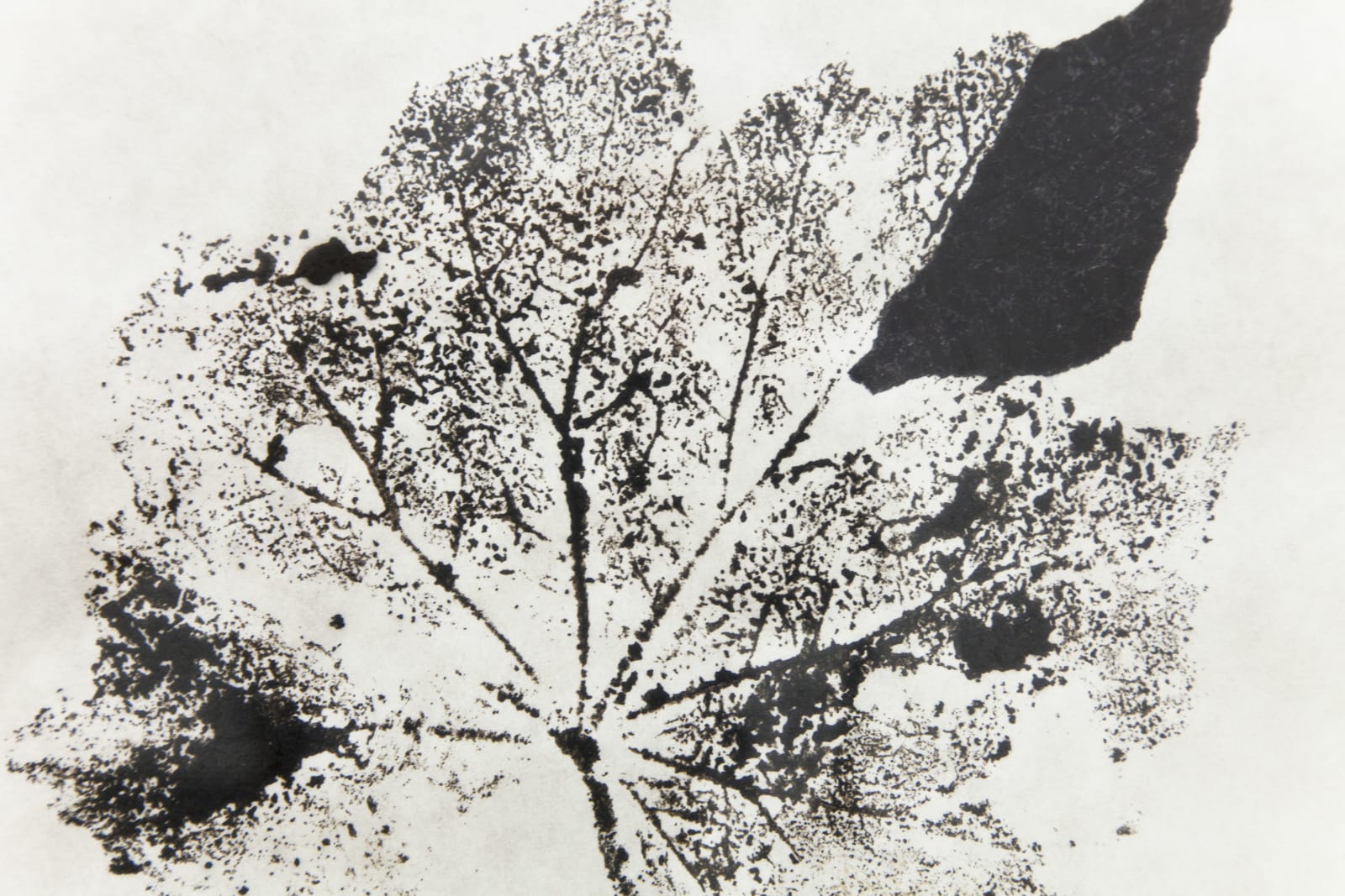 Laura Belém, Entreato I (Interact I), 2020