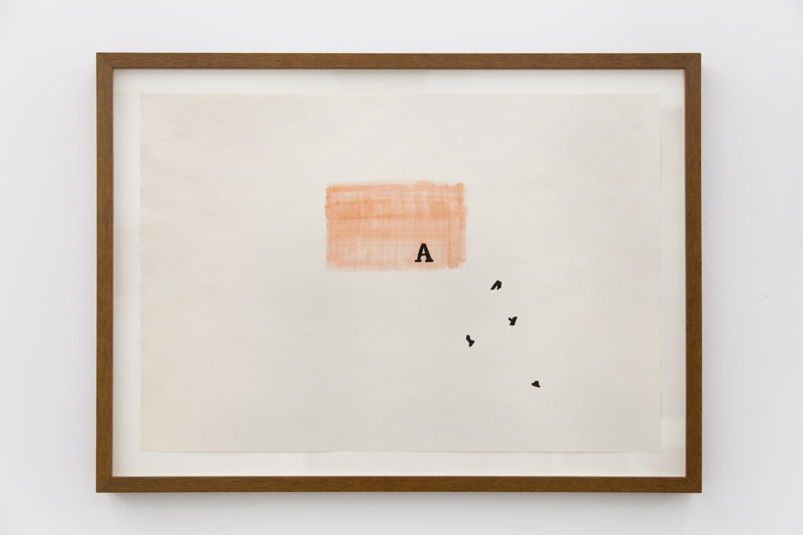 Sonia Andrade, Sem título, 1973-1974